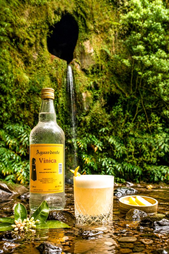 Vínica Sour