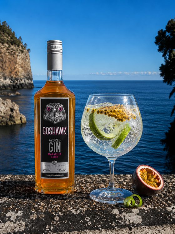 Gin Tónico de Maracujá