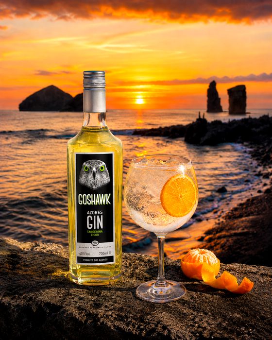 Gin Tónico de Tangerina