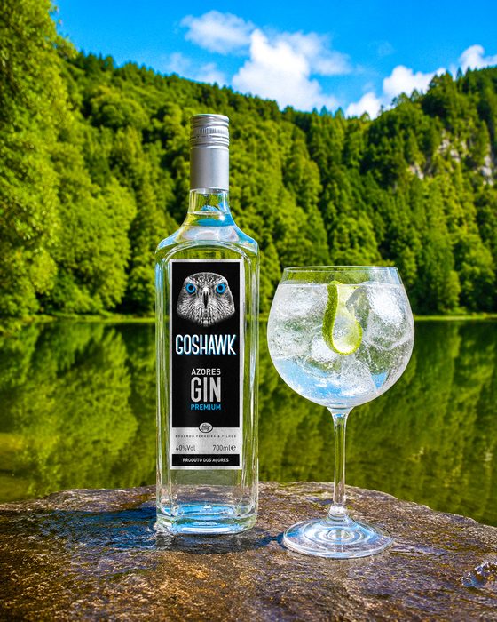 Gin Tónico